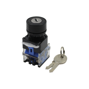 KEY SELECTOR SWITCH LA38-8A11Y/2 (Ø22)